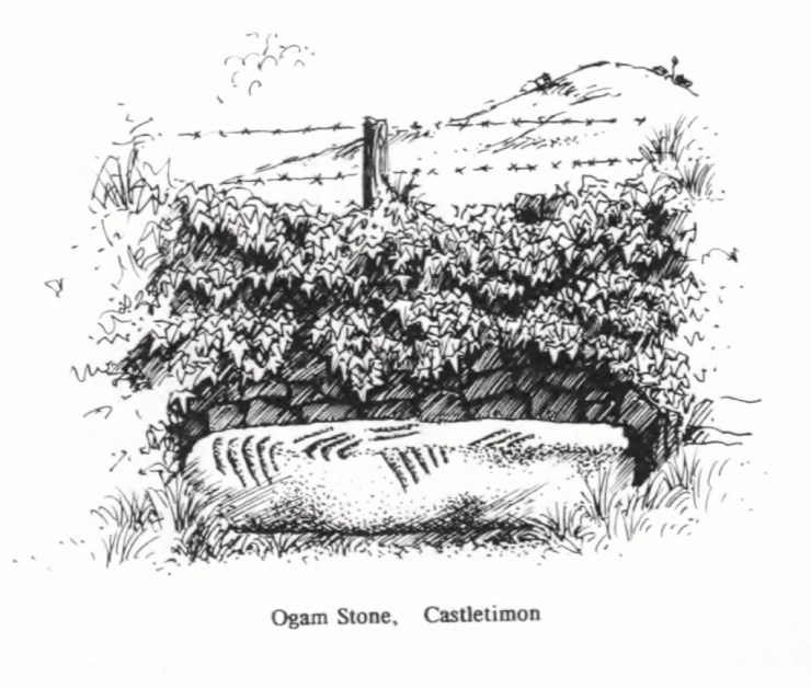 Ogham, Idiomas e Festas Celtas