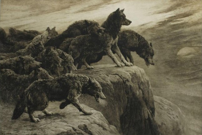 Adeus à Irlanda Gaélica